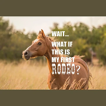 Artwork thumbnail, My first Rodeo by BePositivity