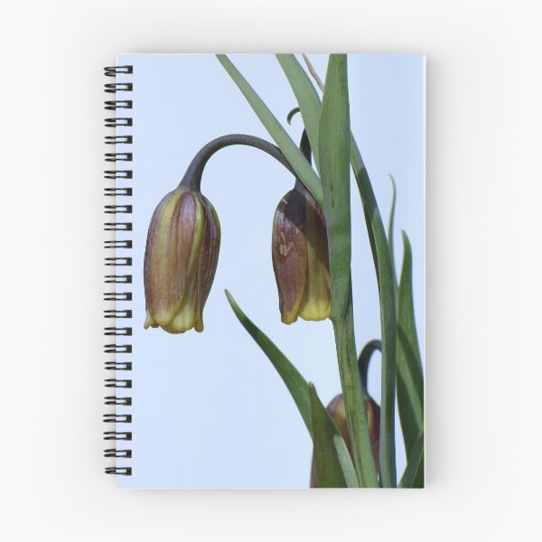 Item preview, Fritillary designed and sold by Sharon Perrett.