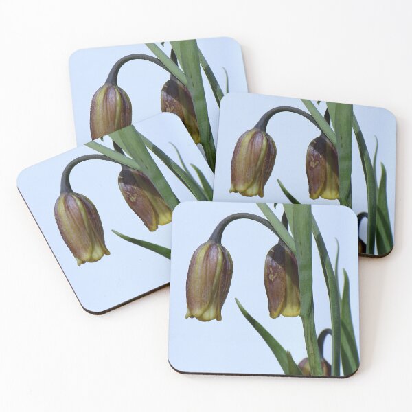 Item preview, Fritillary designed and sold by Sharon Perrett.