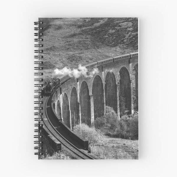 Item preview, The Jacobite Steam Train, Glenfinnan Viaduct, Scotland designed and sold by AlbaPhotography.