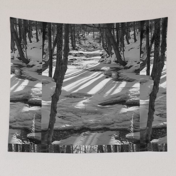 Item preview, Snowshoeing Gifford Woods designed and sold by srwdesign.