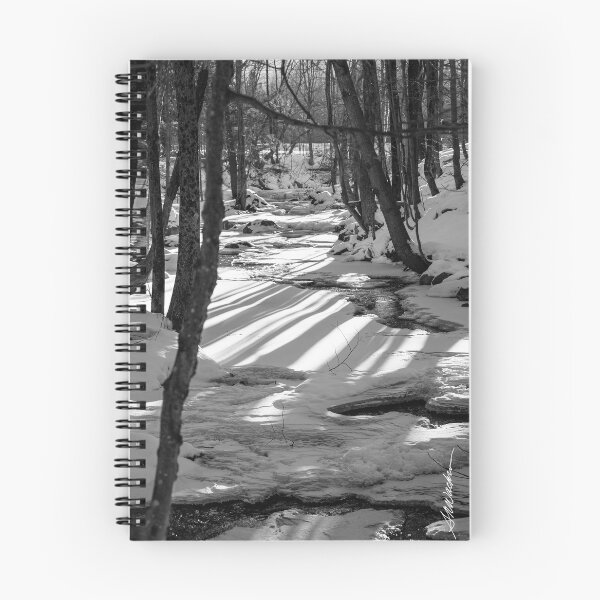 Item preview, Snowshoeing Gifford Woods designed and sold by srwdesign.