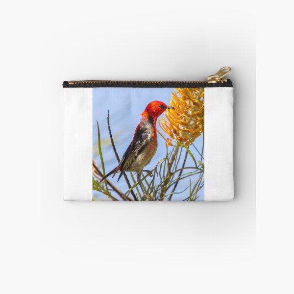 Item preview, Scarlet Honeyeater designed and sold by bidkev1.