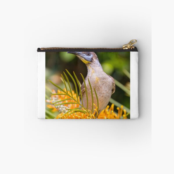 Item preview, Little Friarbird designed and sold by bidkev1.