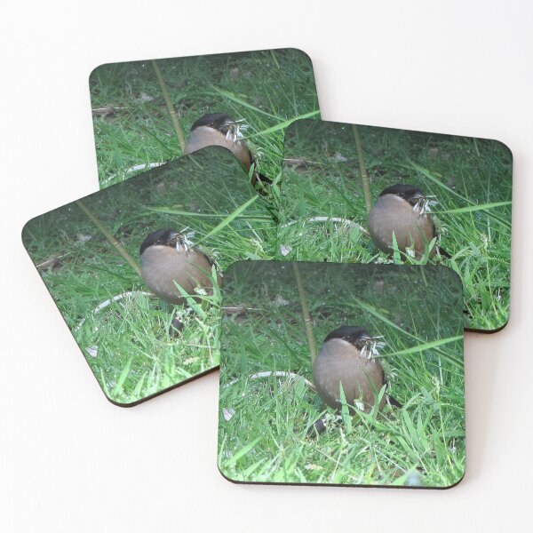 Item preview, Female Bullfinch designed and sold by Sharon Perrett.