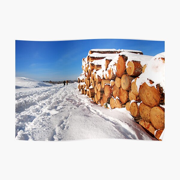 Snowy Schouwen Poster