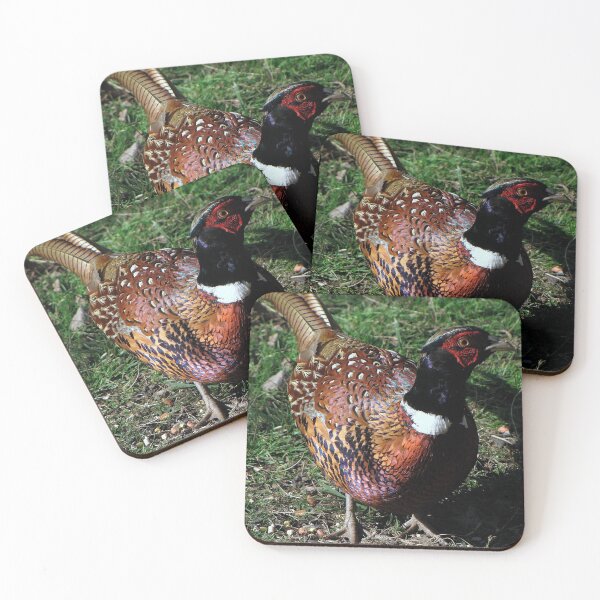 Item preview, A Pheasant designed and sold by Sharon Perrett.