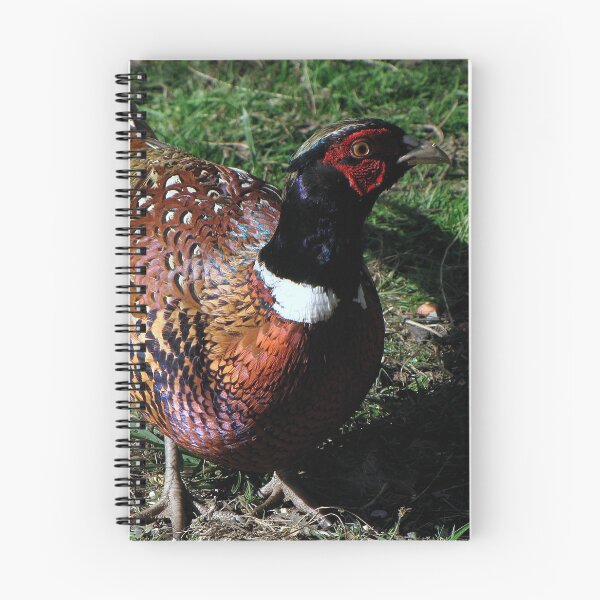 Item preview, A Pheasant designed and sold by Sharon Perrett.