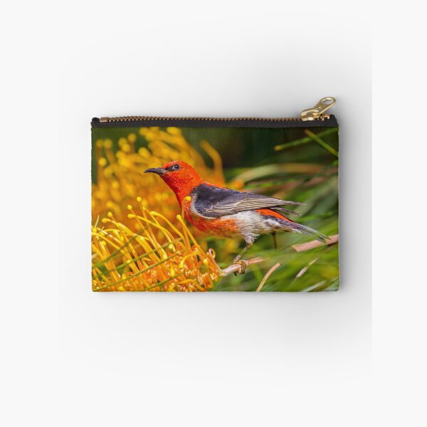 Item preview, scarlet honeyeater designed and sold by bidkev1.