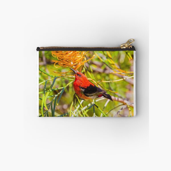 Item preview, Scarlet Honeyeater designed and sold by bidkev1.