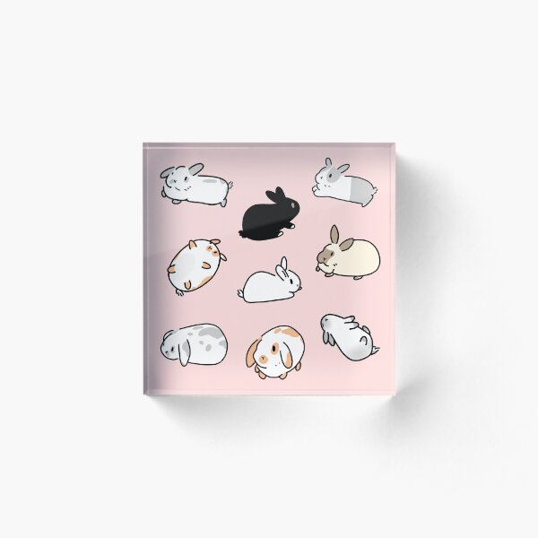 Bunny Rabbits Acrylic Block