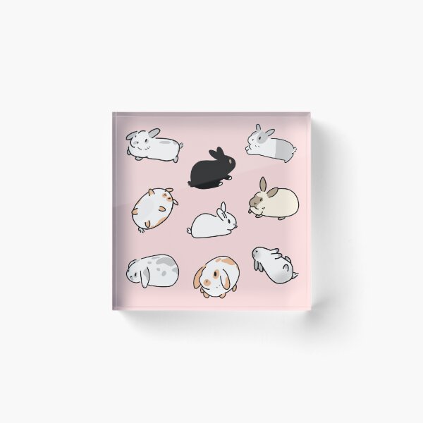 Bunny Rabbits Acrylic Block