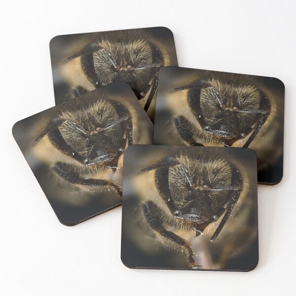 Item preview, Bee in extreme macro designed and sold by Javier Narváez Solarte.