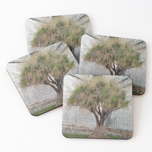 Item preview, Tree, Grass or Mushroom? designed and sold by SpiritualBeing.