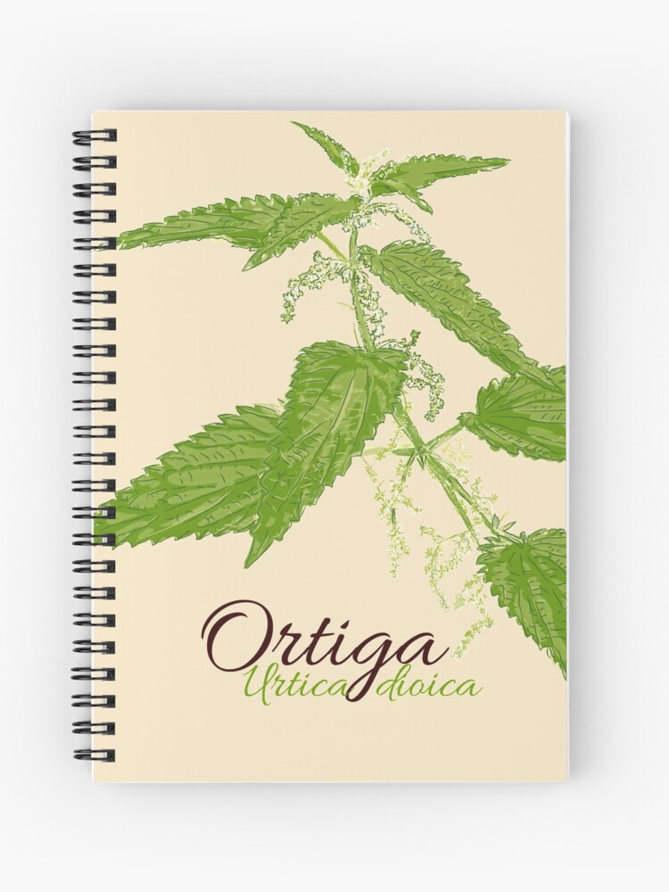 Cuaderno de espiral «Ortiga verde en flor» de Slownessi | Redbubble