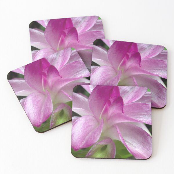 Item preview, After the Rain - Cape York Lily designed and sold by Kerryn Madsen-Pietsch.