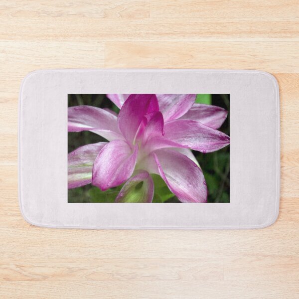 Item preview, After the Rain - Cape York Lily designed and sold by Kerryn Madsen-Pietsch.
