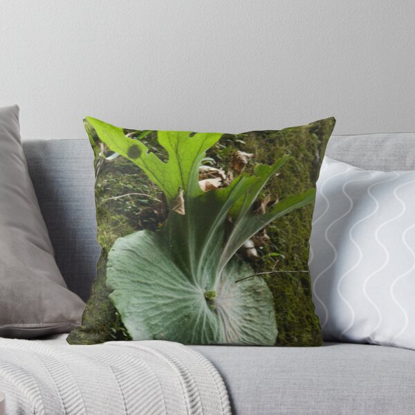 Item preview, Staghorn 1 designed and sold by Werner Padarin.