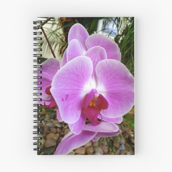 Item preview, Lavender Orchid Petals designed and sold by jennyleeandjim.
