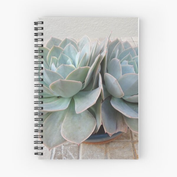 Item preview, Double Succulents designed and sold by jennyleeandjim.