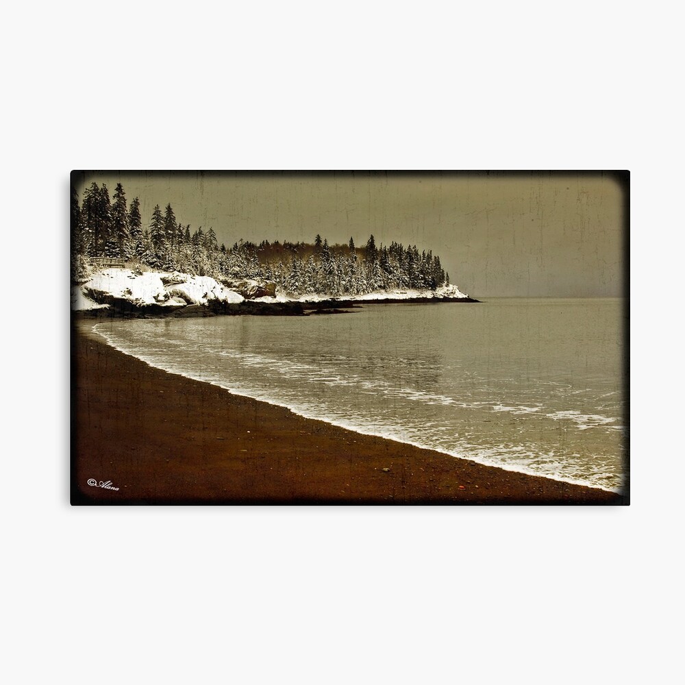Calm waters Canvas Print