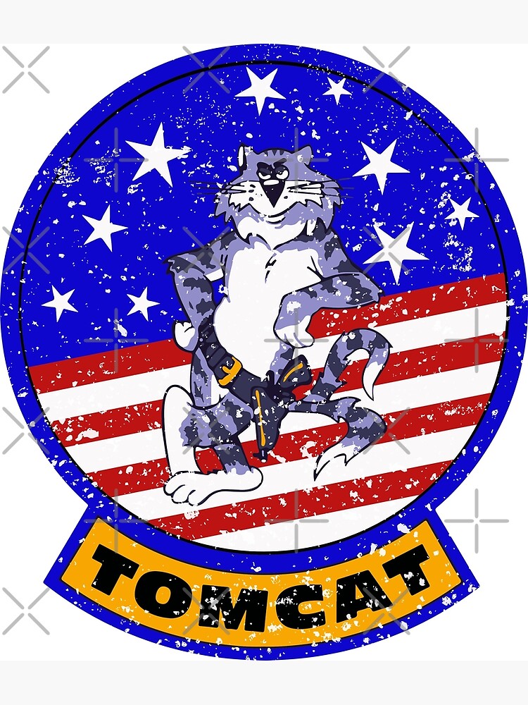Tomcat Vintage Insignia US Flag by ruiazevedo