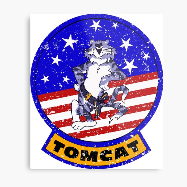 Tomcat Vintage Insignia US Flag Metal Print