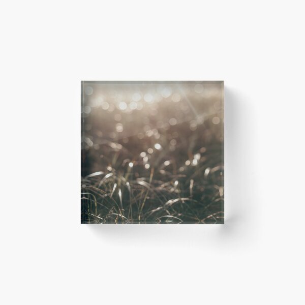 Item preview, September Beachgrass designed and sold by ALICIA BOCK.