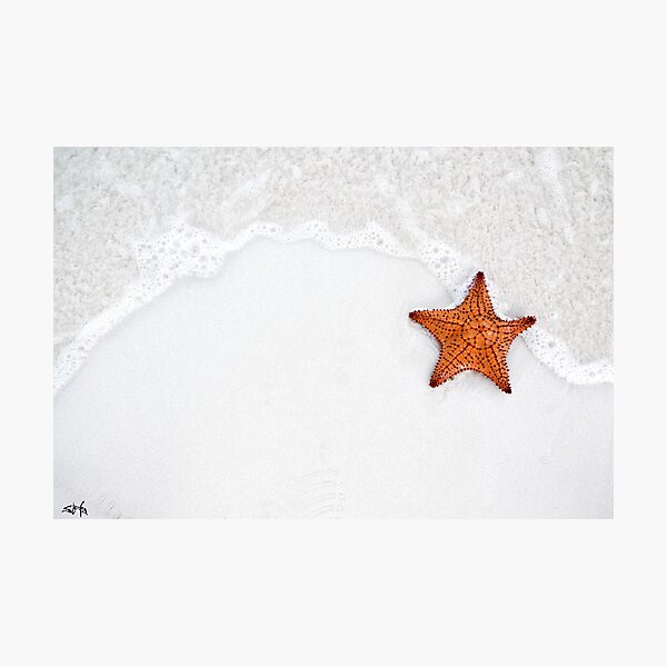 Item preview, Made of stars designed and sold by stefavram.
