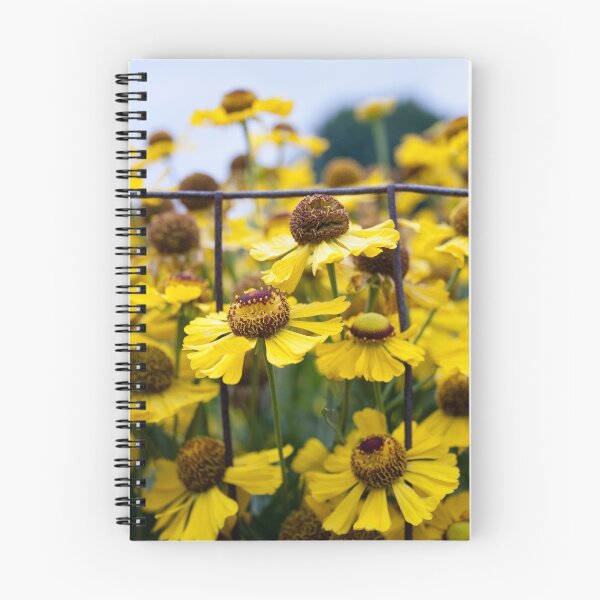 Item preview, Fenced Daisies designed and sold by shyphotog.