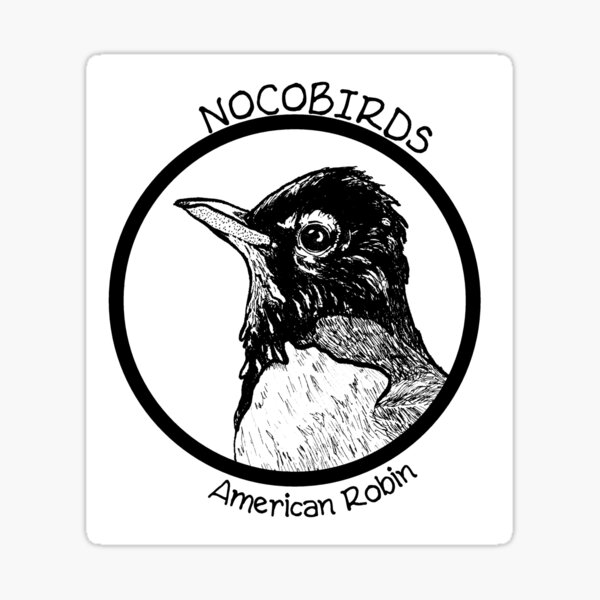 American Robin Sticker