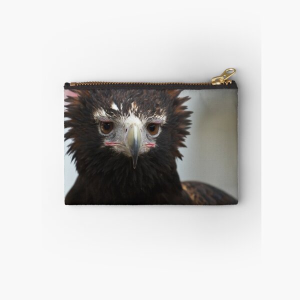 Item preview, Wedge-Tailed Eagle designed and sold by bidkev1.