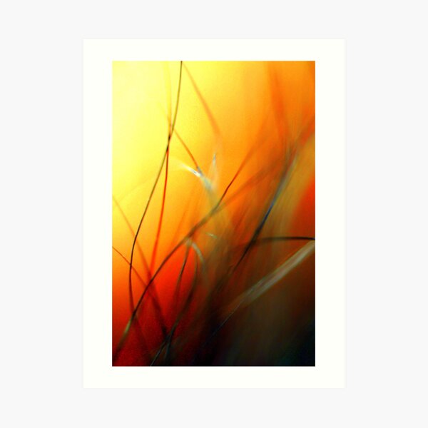 Sun Mist Art Print