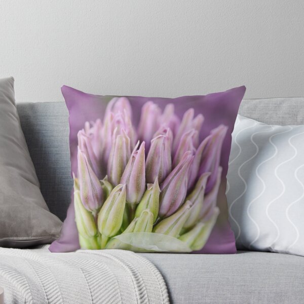 Artikelvorschau, Allium stipitatum & Violett Schönheit & # 39; entworfen und verkauft von Chris Burrows.