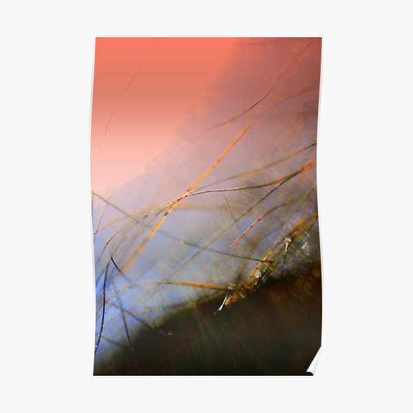 Sun over the Horizon Poster