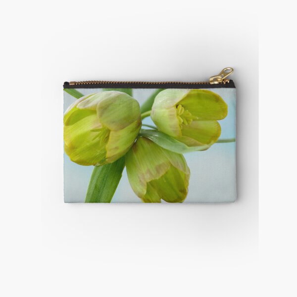 Item preview, Fritillaria pontica  AGM  Fritillary  designed and sold by Chris Burrows.