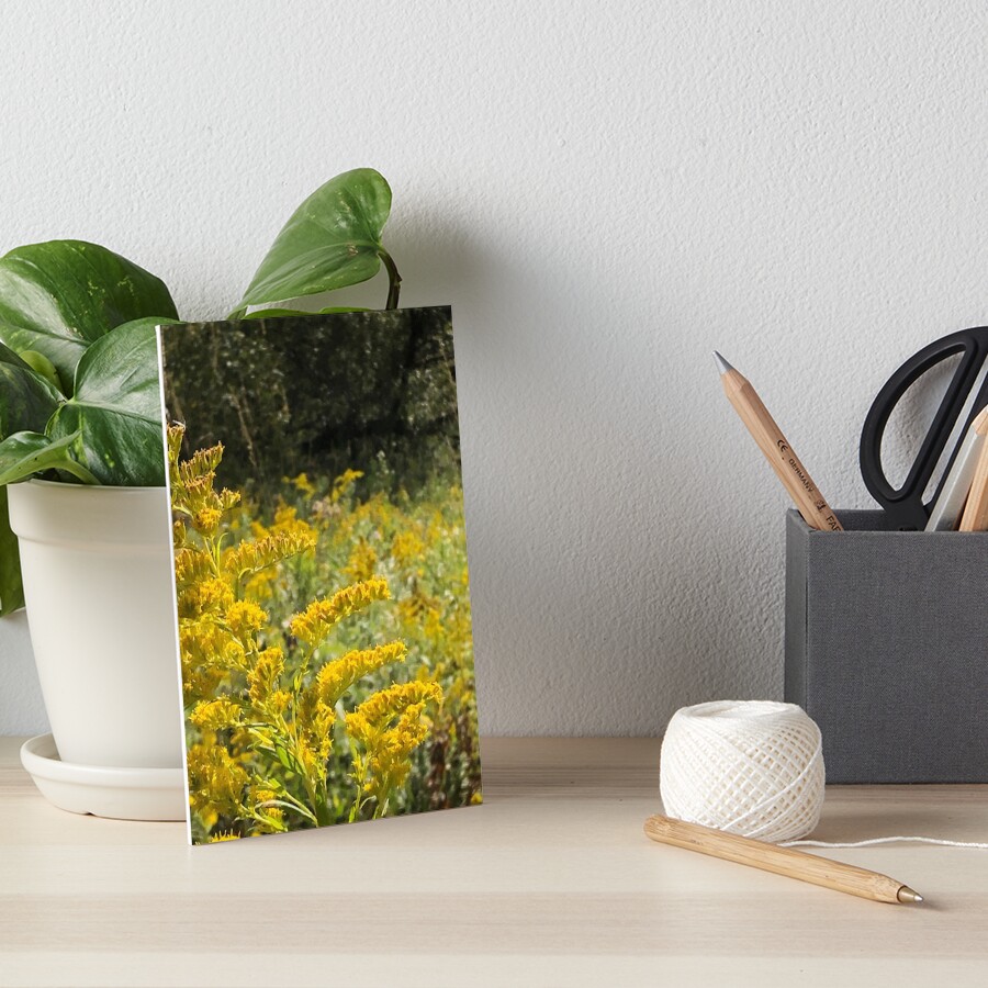 Yellow, Yellow flowers Art Board Print