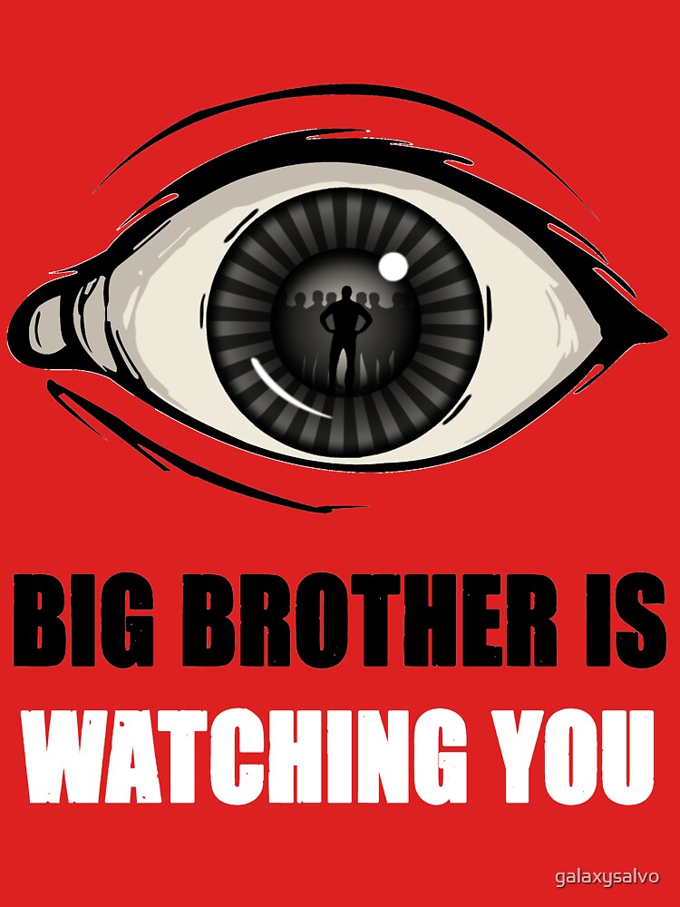 Big brother is watching you что это