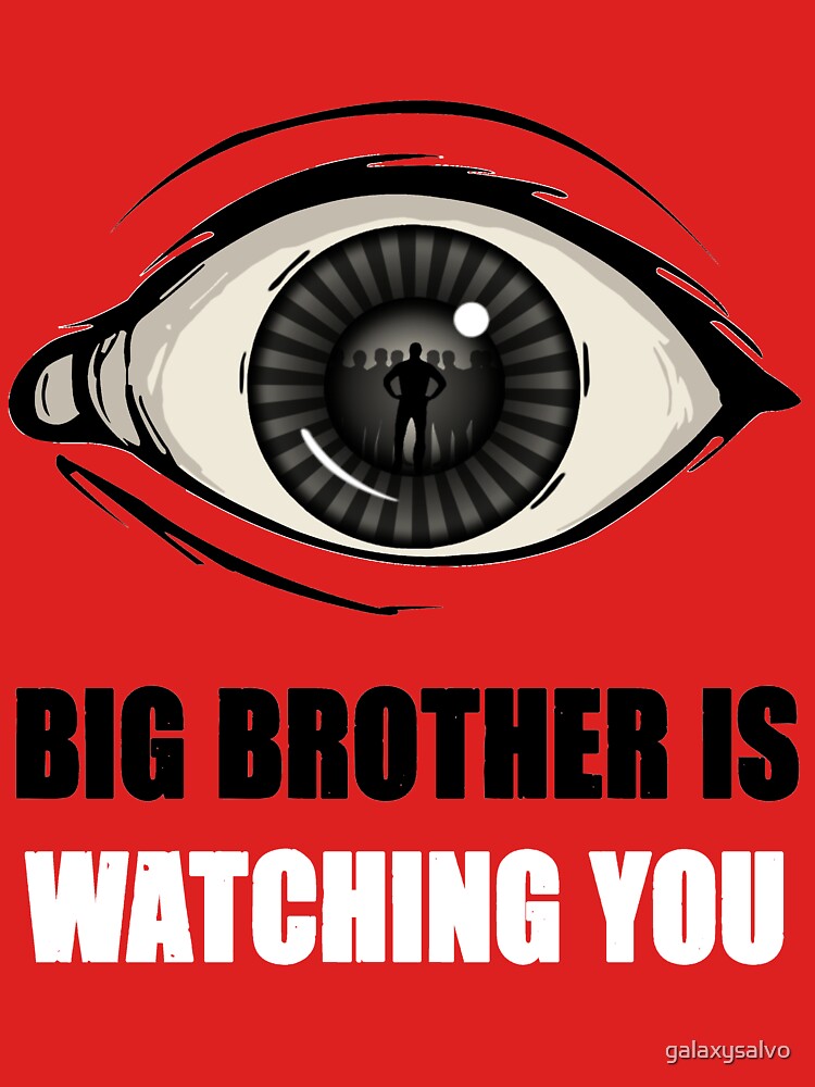 Image result for images of big brother is watching you