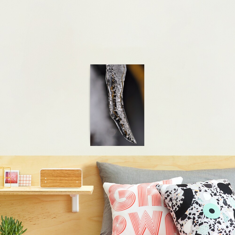 Ice Claw Photographic Print