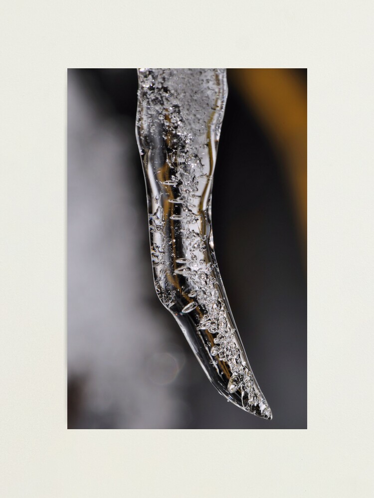 Alternate view of Ice Claw Photographic Print