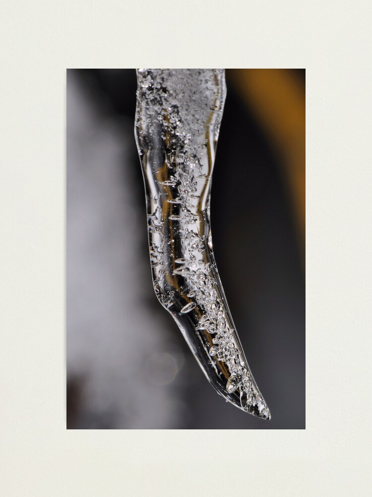 Alternate view of Ice Claw Photographic Print