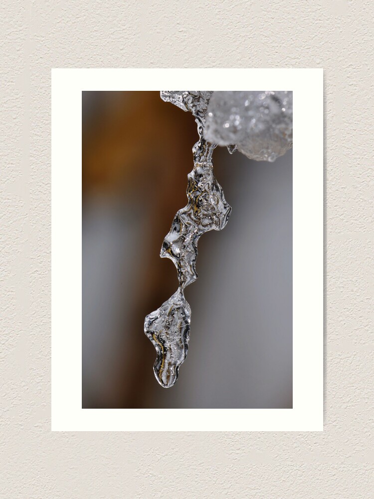 Alternate view of Clearly Fragile Art Print