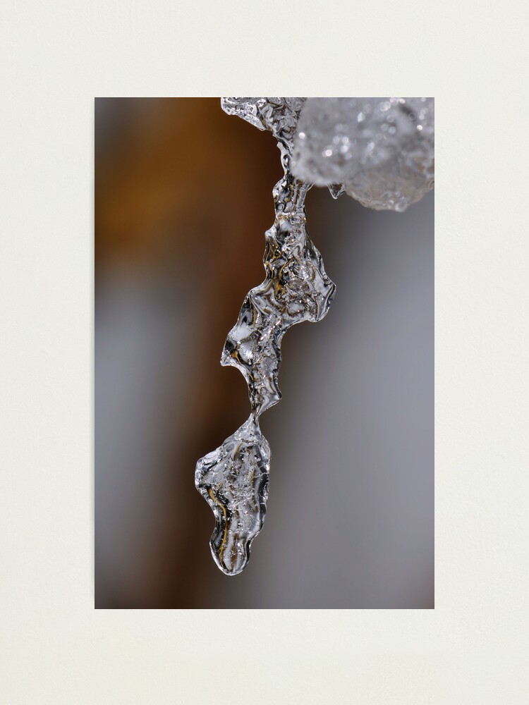 Alternate view of Clearly Fragile Photographic Print