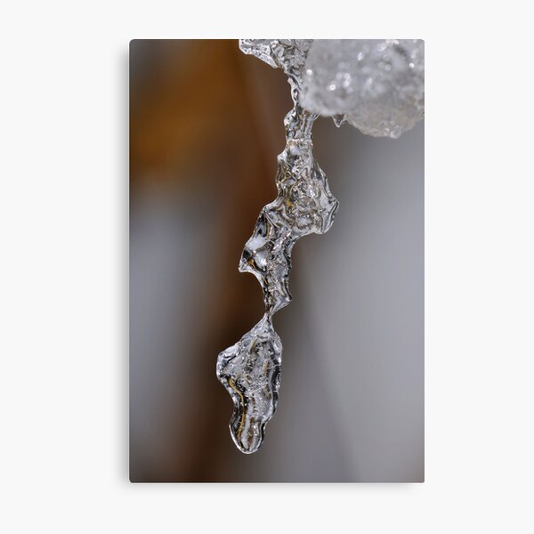 Clearly Fragile Metal Print