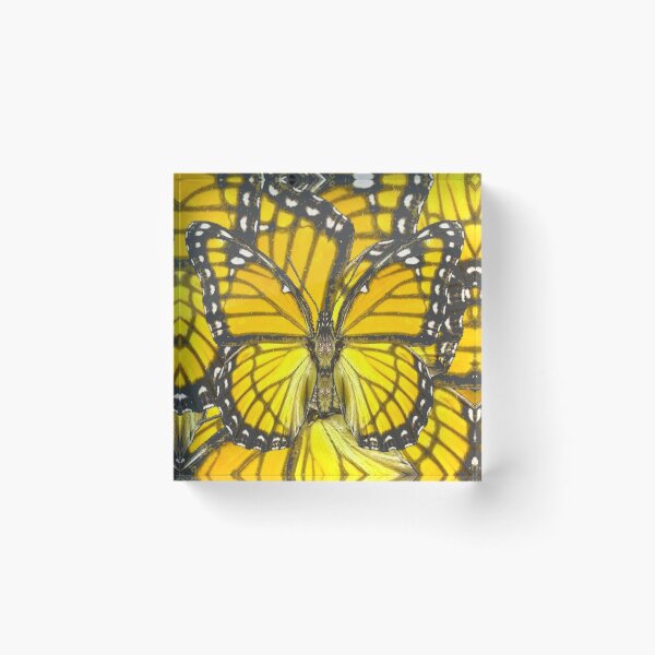 Item preview, YELLOW-GOLDEN MONARCH BUTTERFLIES & WING PATTERNS designed and sold by sharlesart.