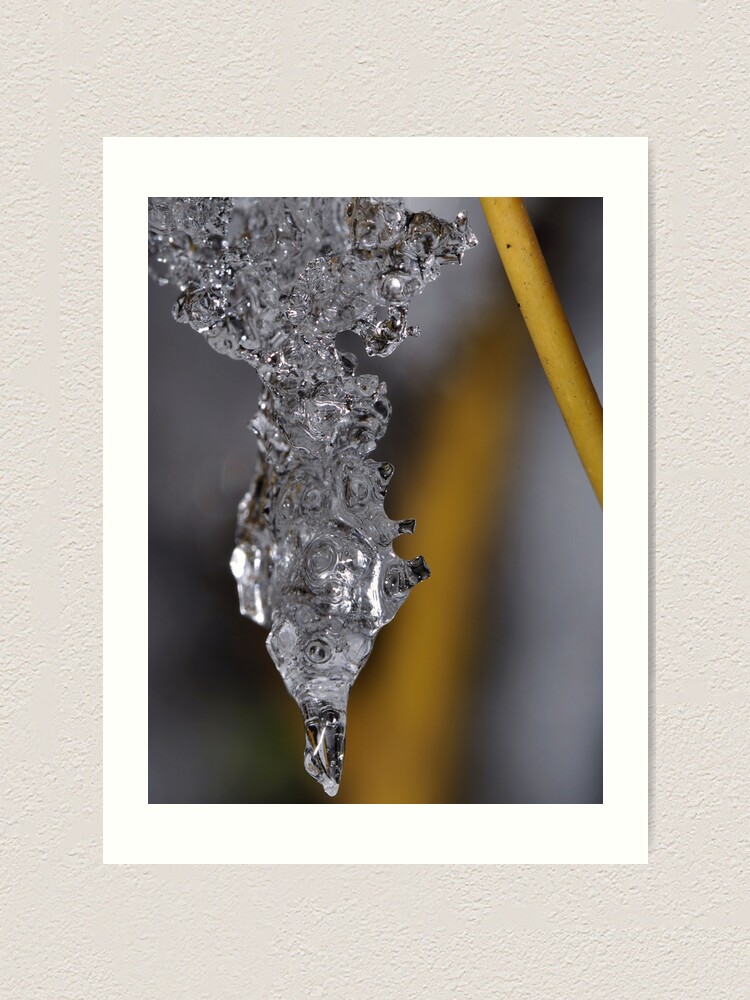 Alternate view of Ice Chrysalis Art Print