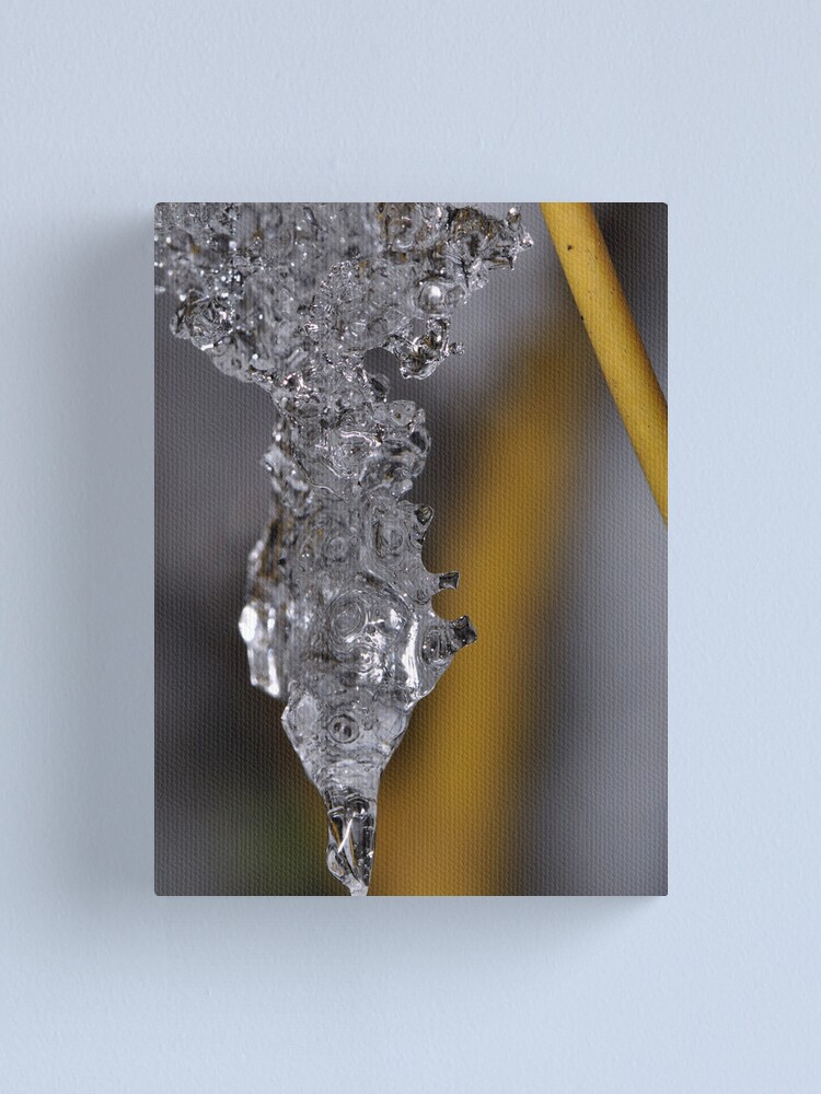 Alternate view of Ice Chrysalis Canvas Print