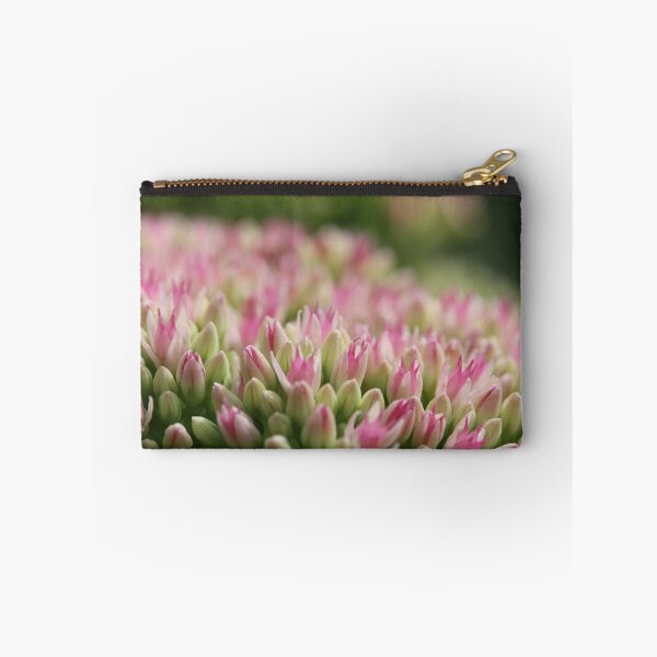 Item preview, Sedum designed and sold by ASTRID EWING.