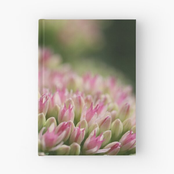 Item preview, Sedum designed and sold by ASTRID EWING.